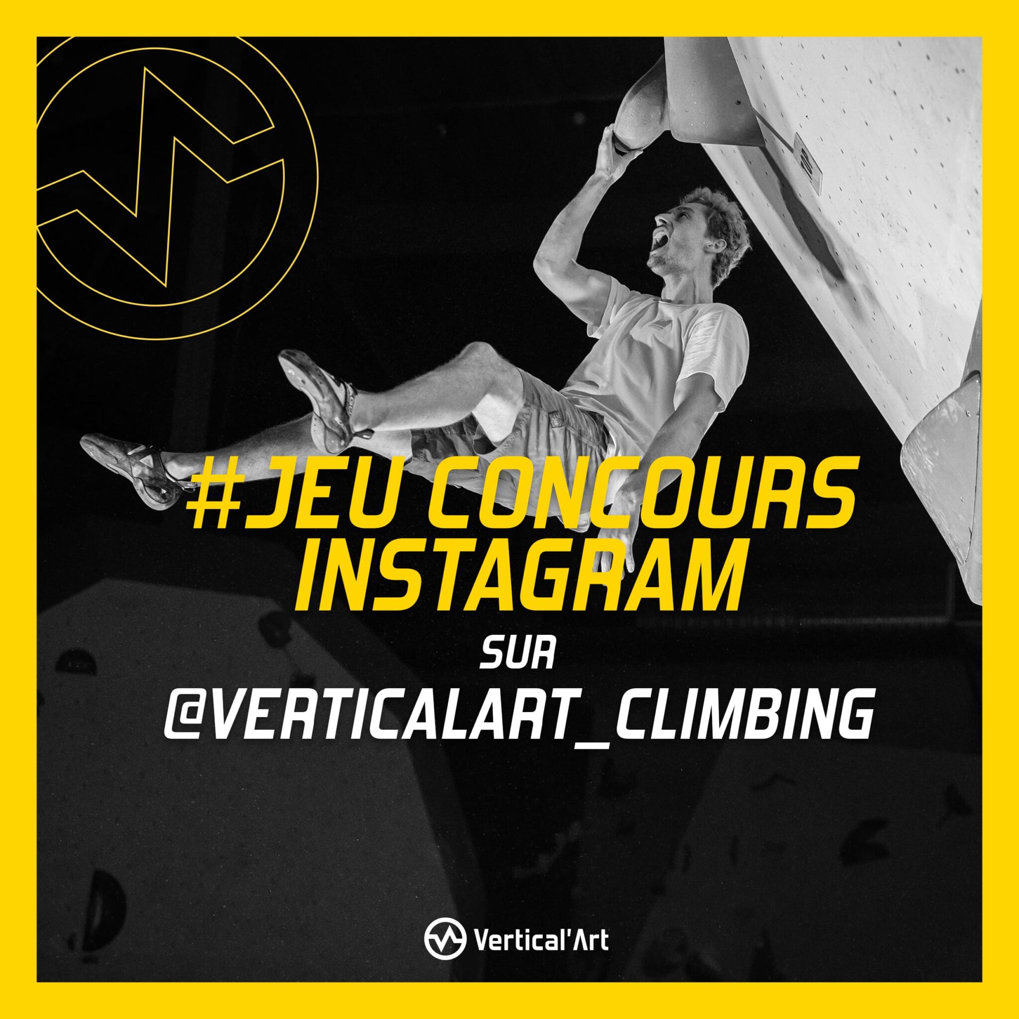 Jeu concours Instagram Vertical'Art janvier 2023